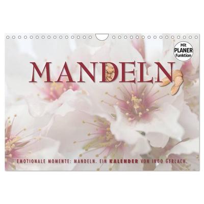 Emotionale Momente: Mandeln (Wandkalender 2027 DIN A4 quer), CALVENDO Monatskalender