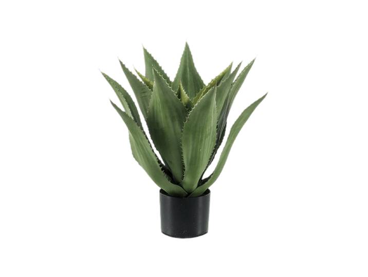 Lebensechte Kunstpflanze „Agave Tree“ Grün Höhe 55 cm Baq Design