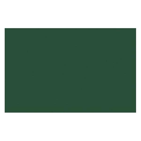 Winsor & Newton Ac Spray 400Ml Hookers Green Hue Perm 0224 (4450224)