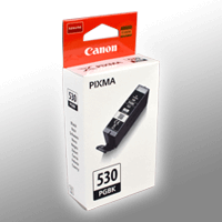 Canon Tinte 6117C001 PGI-530PGBK schwarz