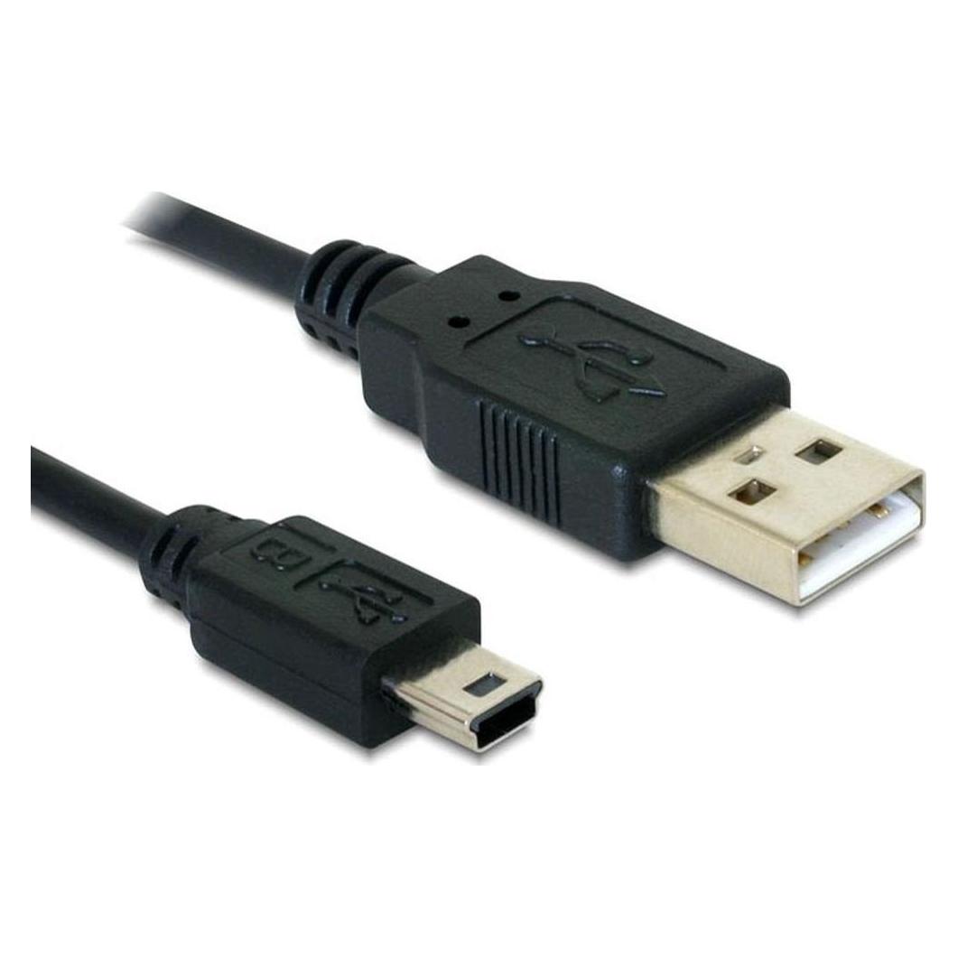 Delock USB 2.0 mini-B 5 Pin (1 m, USB 2.0) (82273)