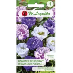 Garten-Glockenblume, Mischung mit gefüllten Blüten