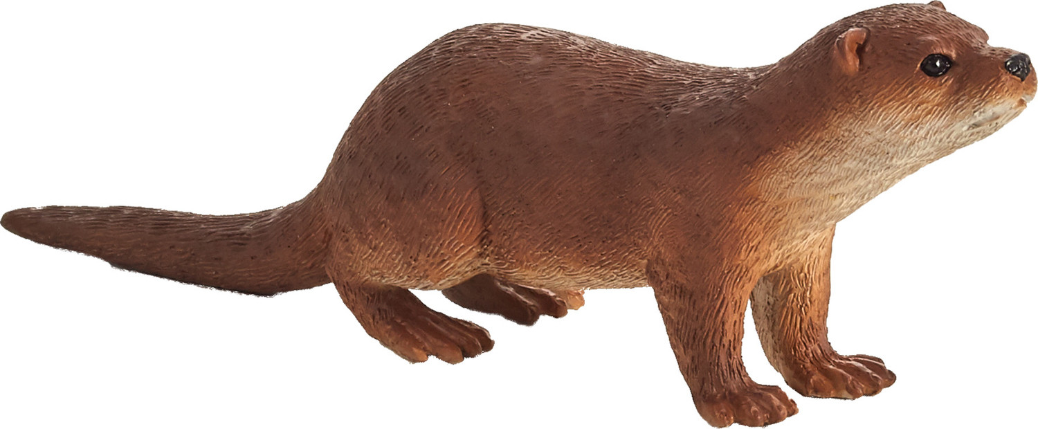 Animal Planet: De otters small foot