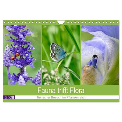 Fauna trifft Flora - Tierischer Besuch im Pflanzenreich (Wandkalender 2026 DIN A4 quer), CALVENDO Monatskalender