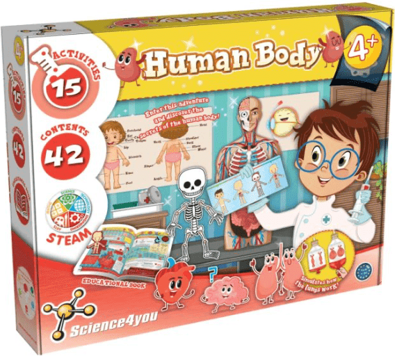 Science4You: Human Body for Kids, Anatomy Model with Stethoscope, Skeleton, and More, Ages 4+