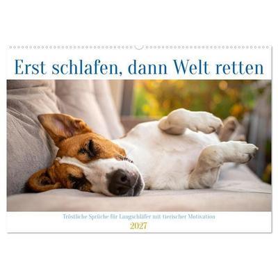 Erst schlafen, dann Welt retten (Wandkalender 2027 DIN A2 quer), CALVENDO Monatskalender