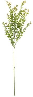 Saro Lifestyle "Acacia Stem Floral Accent (Set of 12) - Green - 39"""