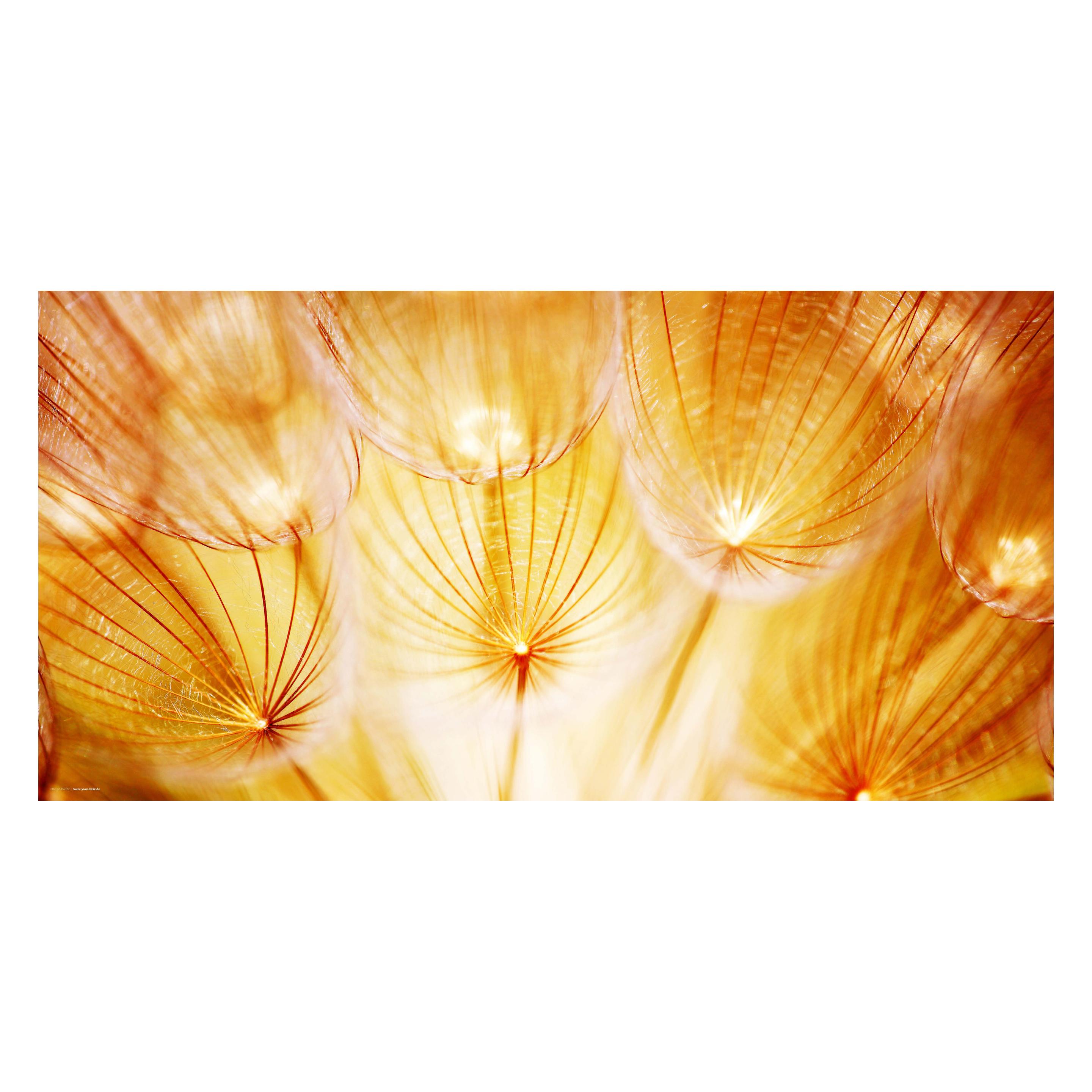 CoverYourDesk Schreibtischunterlage Pusteblume im Sonnenglanz (21557578)