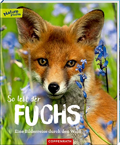 Sandra Noa - So lebt der Fuchs: Eine Bilderreise durch den Wald (Nature Zoom) - Preis vom 09.10.2026 07:28:09 h
