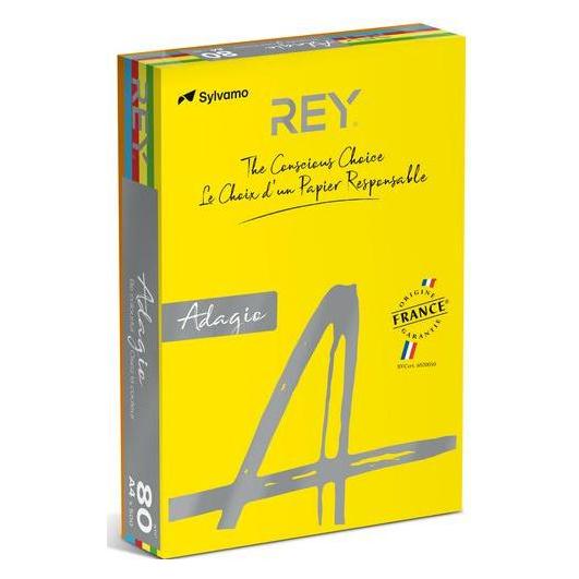 Rey Farbiges Papier RYADA160X904 Farbig Sortiert 160 g/qm (A4, 250 Blätter, 160 g/m²) (RYADA160X904)
