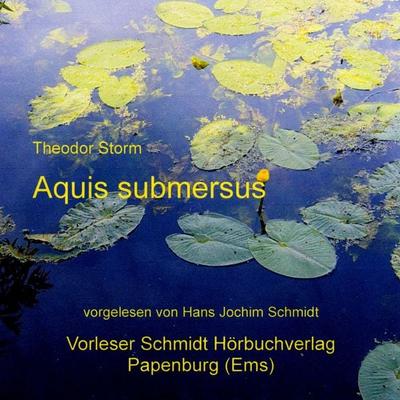 Aquis submersus - Theodor Storm, Audio, 9783937976334