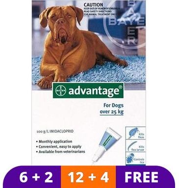 Advantage Extra Large Dogs Over 55 Lbs (Blue) 6 Doses + 2 Free