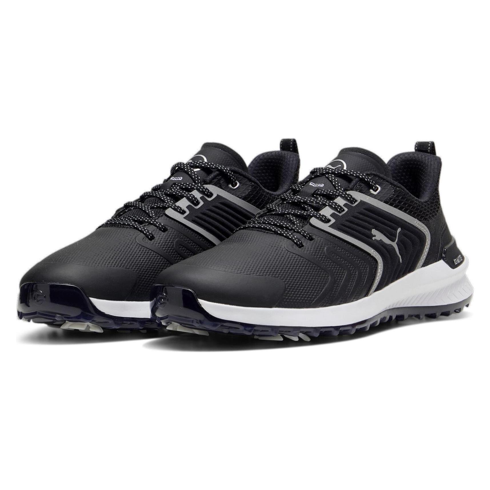 Puma IGNITE Ascend (40.5) (379431_03)