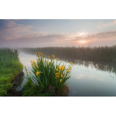 Fototapete PAPERMOON "Fluss durch Feld", bunt, B:4m L:2,6m, Vlies, Tapeten