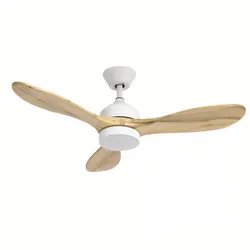 SCHMITZ-WILA Ventilator m.Leuchte VE-0016-BLA