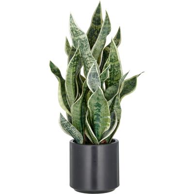 Kunstpflanze CREATIV GREEN, grün (hellgrün), H:66cm, Kunststoff, Kunstpflanzen, Kunstpflanze, im eleganten Pflanzgefäß