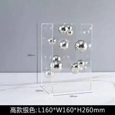 Inspired Living Modern Clear Acrylic Display Dome Cube Minimalist Home Decor Accent g