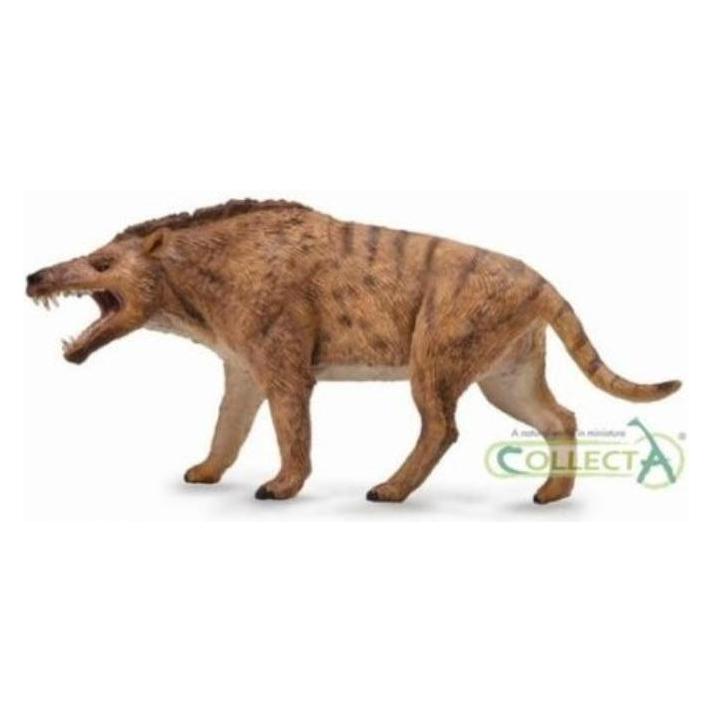 Collecta Zusammengebaute Figur Figur DINOSAUR ANDREWSARCH - Set - 88772 - DELUX (448828)