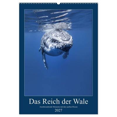 Im Reich der Wale (Wandkalender 2027 DIN A2 hoch), CALVENDO Monatskalender
