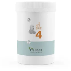 Biochemie Pflüger Schüßler-Salz Nr. 4 Kalium chloratum D6 4000 St