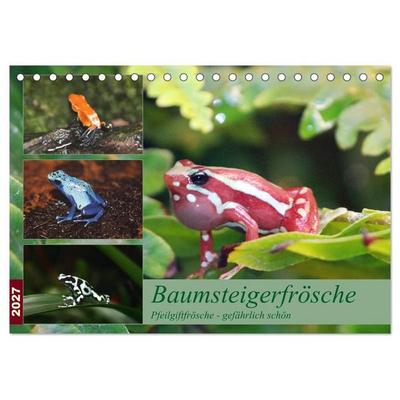 Baumsteigerfrösche. Pfeilgiftfrösche - gefährlich schön (Tischkalender 2027 DIN A5 quer), CALVENDO Monatskalender
