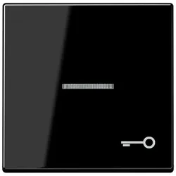 Jung Wippe Symbol TÜR sw A 590 KO5 T SW A590KO5TSW