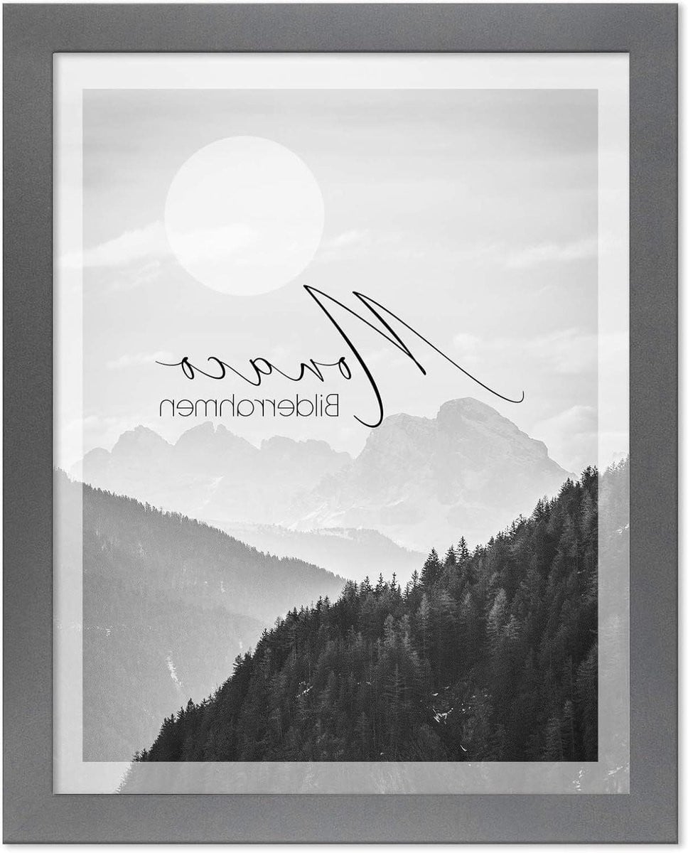 Fotolijst Monaco Posterlijst Wisselframe Grijs 50 x 100 cm