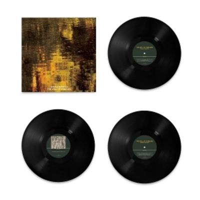 The Will Of Tongues - Sarah Davachi, Vinyl