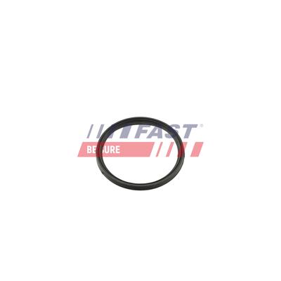 FAST Dichtring, Ladeluftschlauch ft49857 für RENAULT