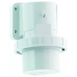 Bals Elektrotechnik 2647 2647 CEE Anbaustecker 1 St.