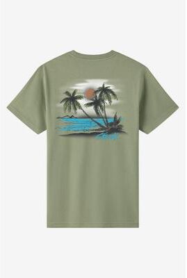 O'Neill s Tropics Classic T-Shirt in Sage, Size Medium
