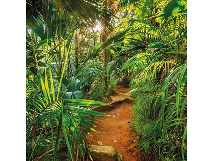 Komar - fotobehang JUNGLE TRAIL - 368 x 254 cm - behang, muurdecoratie, oerbos, jungle, tropische landschap - 8-989