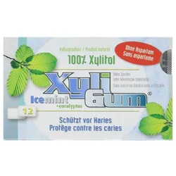 Kaugummi - Icemint 16,8g