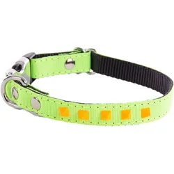 Martin Sellier Fluo (Hund, Spazieren), Halsband + Leine