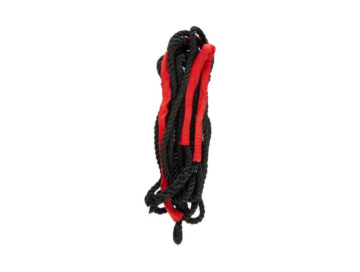 Festmacher mit Ruckdämpfer 12 mm × 10 m