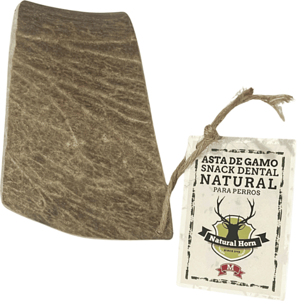 Natural Horn Chifre Natural de Gamo M