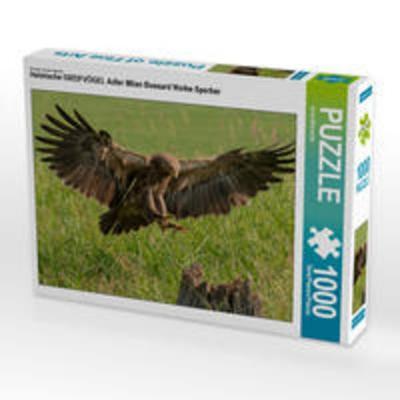 CALVENDO Puzzle Heimische GREIFVÖGEL Adler Milan Bussard Weihe Sperber 1000 Teile Lege-Größe 640 x 480 cm Foto-Puzzle Bild von Arne Wünsche