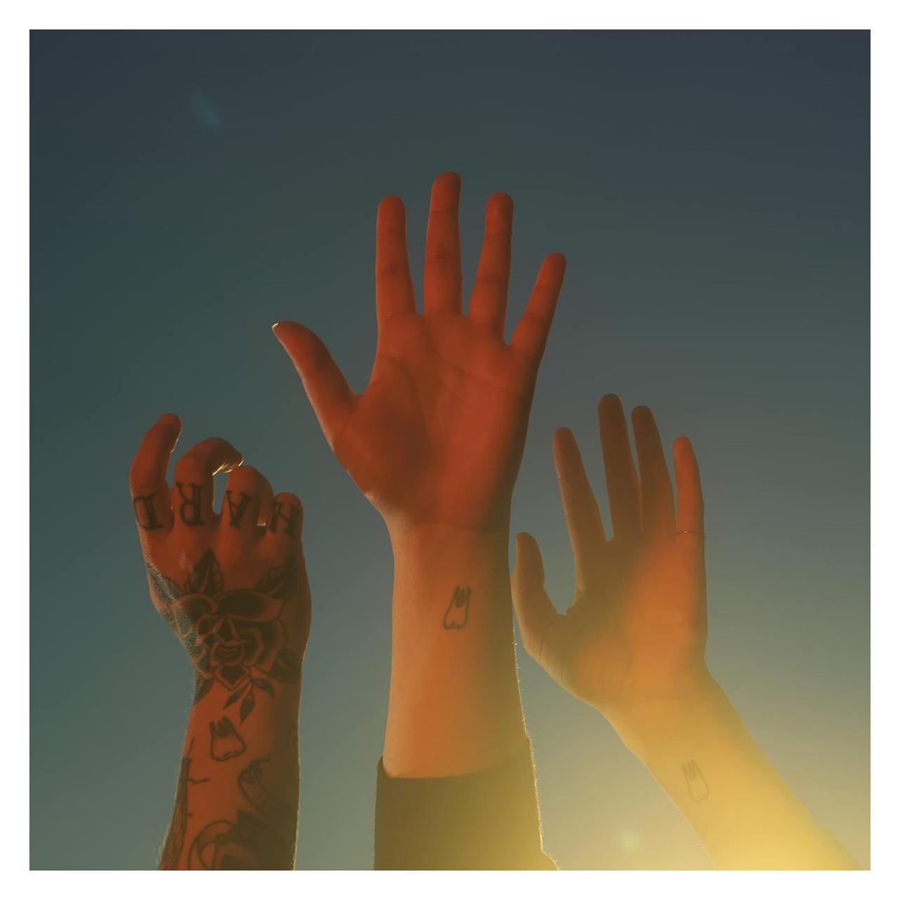 Interscope Record (Boygenius) (42840358)