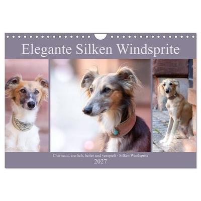 Elegante Silken Windsprite (Wandkalender 2027 DIN A4 quer), CALVENDO Monatskalender