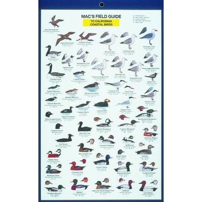 Mac's Field Guides: California Coastal Birds, Nonbook von Craig Macgowan, Mountaineers Books, 978-0-89886-261-4