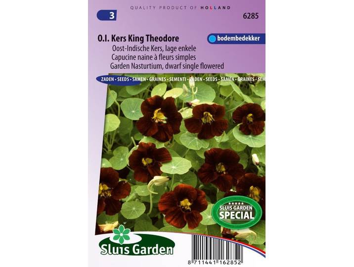 Tropaeolum zaden Black Velvet Oost-Indische kers