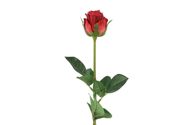 Countryfield zijden roos rood 70 cm