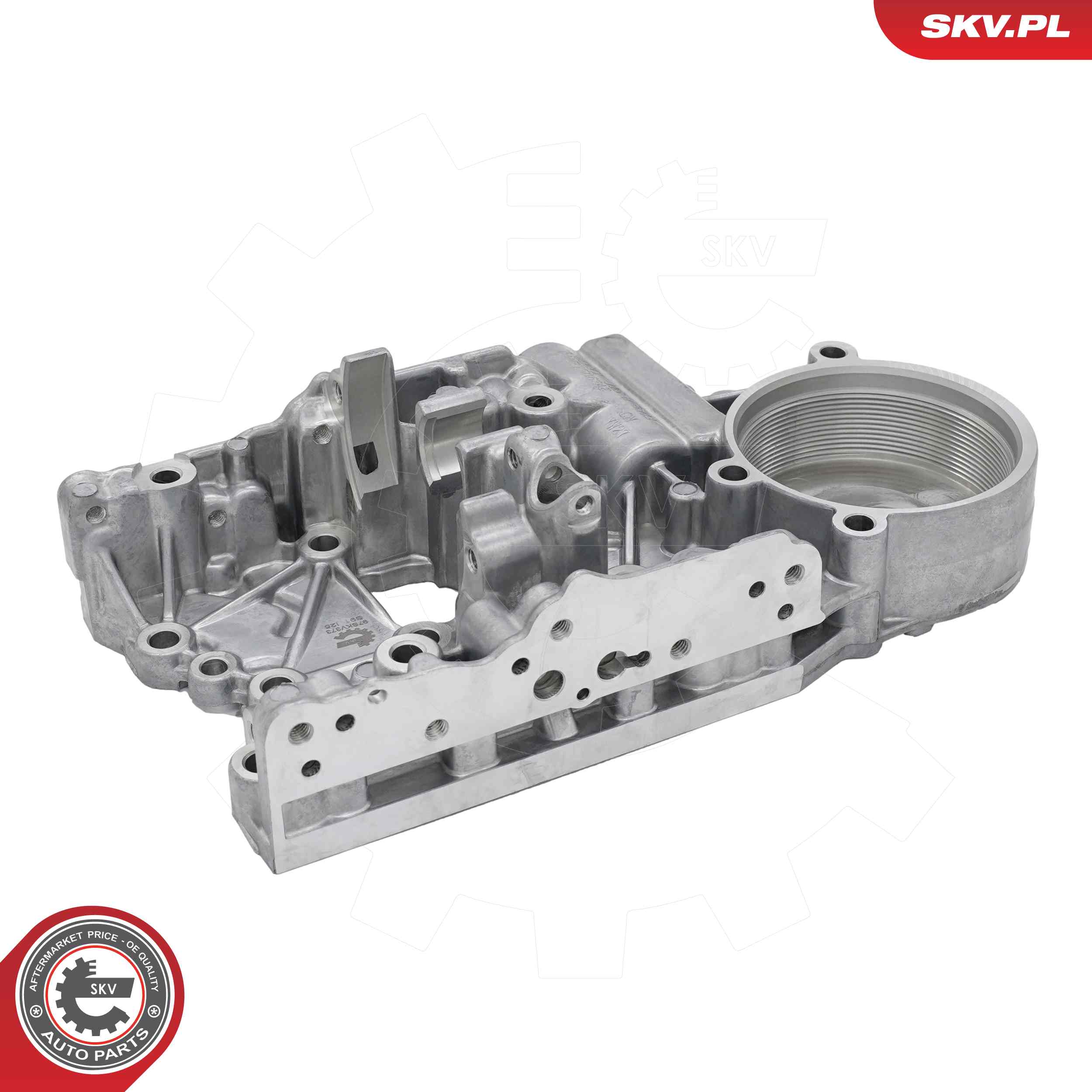 Esen Skv Reparatursatz, Mechatronik (Automatikgetriebe) 97skv373 Für Vag