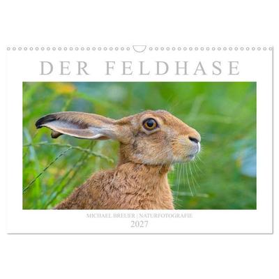 Der Feldhase (Wandkalender 2027 DIN A3 quer), CALVENDO Monatskalender