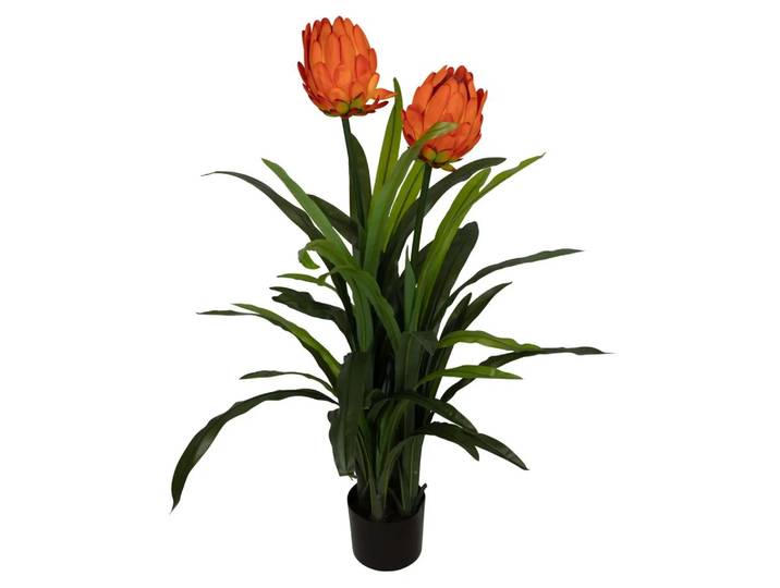 Kunstpflanze Protea Orange H: 116 cm Decofinder