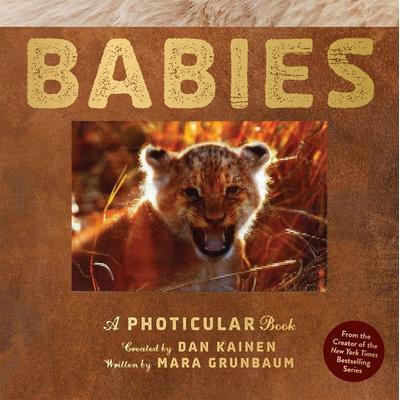 Babies, Gebundene Ausgabe von Dan Kainen,Mara Grunbaum, Workman, 978-1-5235-3209-4