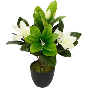 I.GE.A. Kunstpflanze Magnolie, im Topf, Höhe 45 cm