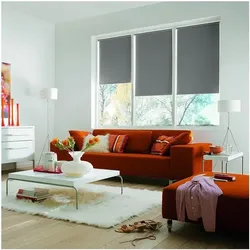 Büscher Sunlines Seitenzug-Rollo mit Lichtschutz grau, 82x180 cm