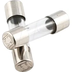 FLINK 1,0A - Feinsicherung 5x20mm, flink 1,0A