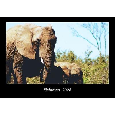 Elefanten 2026 Fotokalender DIN A3